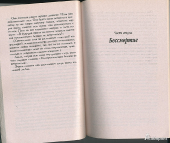 Милан Кундера: Бессмертие