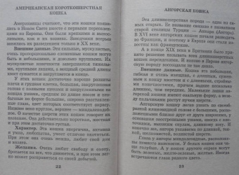 Мария Солодова: Чего хочет ваша кошка