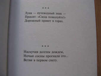 Мацуо Басё: Во тьме безлунной ночи