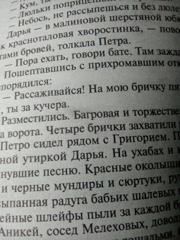 Михаил Шолохов: Тихий Дон (комплект из 2-х книг)