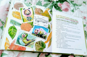 Елена Хаецкая: Полет Гарпии