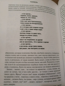 Уильям Гэсс: Тоннель