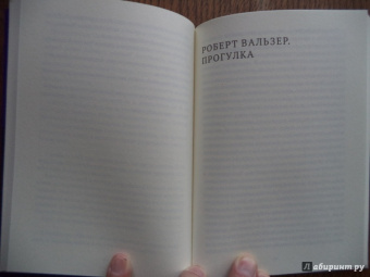 Вальзер, Шишкин: Прогулка