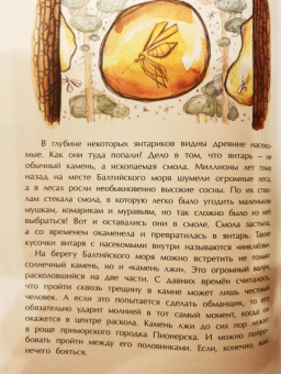 Ольга Велейко: Калининград. Там, где танцует лес