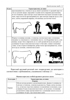 Пронин, Фисенко, Мазилкин: Технология первичной переработки продуктов животноводства. Практикум. Учебное пособие для СПО