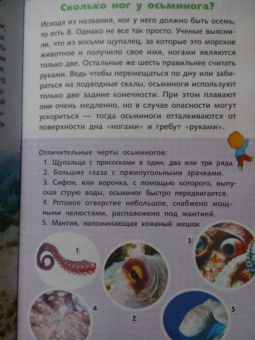 Дмитрий Кошевар: Жители морей и океанов