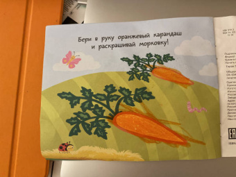 Людмила Двинина: Овощи и фрукты