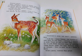 Паустовский, Бианки, Сладков: Лучшие сказки про зверей