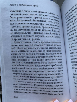 Гис, Гис: Жизнь в средневековом городе