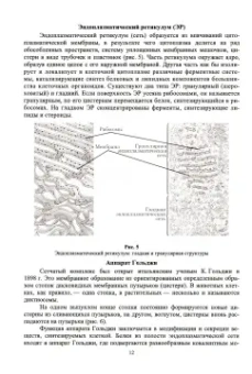 Евгений Музафаров: Биотехнология.Основы биологии.Учебное пособие для вузов