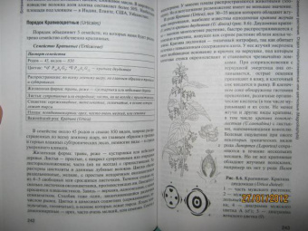 Зайчикова, Барабанов: Ботаника. Учебник