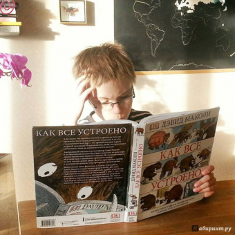 Дэвид Маколи: Как все устроено. Иллюстрированная энциклопедия устройств и механизмов