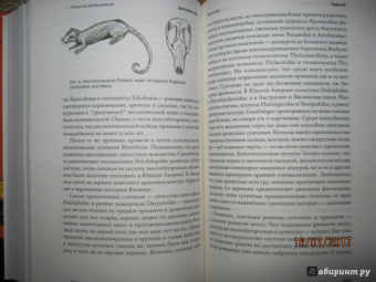 Станислав Дробышевский: Достающее звено. Книга первая. Обезьяны и все-все-все