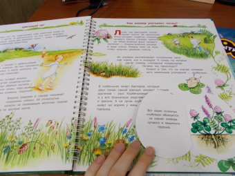 Татьяна Елумеева: Растения