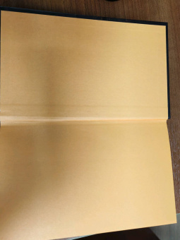 К. Брин: Грех и спасение