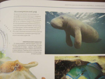 Бамбарадения, Вудрафф, Гинзберг: Животный мир. Иллюстрированный атлас