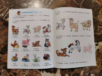 Ирина Шестакова: Домашние животные