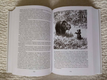 Джеймс Кервуд: Бродяги Севера