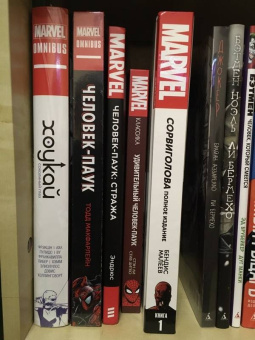 Кари Эндрюс: Человек-Паук. Стража