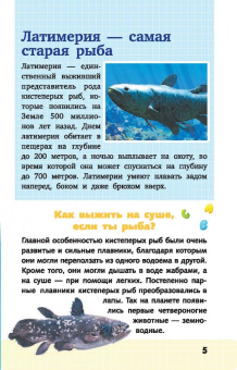Дмитрий Кошевар: Животные