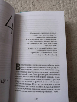 Эндрю Холечек: Йога сновидений. Наполните свою жизнь светом при помощи практики осознанных сновидений