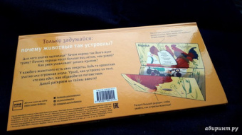 Боманн, Дюпон: Животные снаружи и внутри