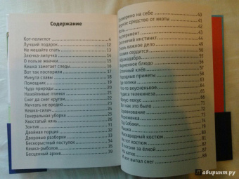 Снегирев, Снегирева: Кешка. Все истории про необыкновенного кота