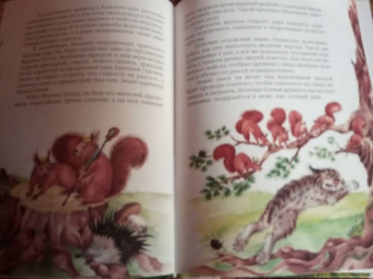 Павел Северный: Про беличье царство Векшин посад