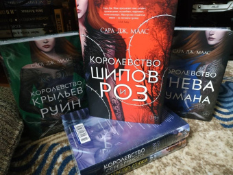 Сара Маас: Королевство шипов и роз
