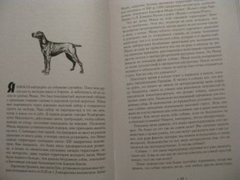 Элизабет Томас: Собаки и тайны, которые они скрывают. Легендарный бестселлер о сознании, поведении и привычках