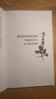 Ошо Багван Шри Раджниш: Оранжевые медитации. Упражнения на концентрацию и дыхательные техники