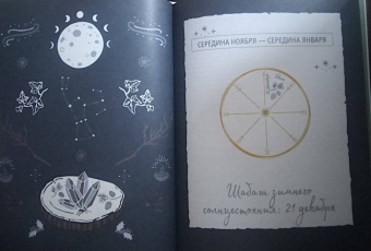 Клэр Гоэрти: Год Ведьмы. Заклинания, кристаллы, инструменты и ритуалы для целого года магии