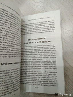 Разведение и выращивание уток, индоуток и гусей обычных пород и бройлеров