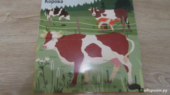 Боманн, Дюпон: Животные снаружи и внутри