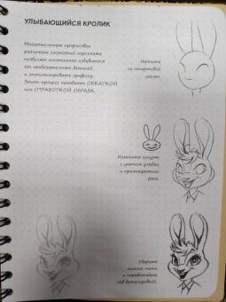 Пименова, Осипов: Sketchbook. Скетчбук аниматора