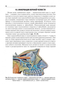 Базикян, Чунихин: Местное обезболивание в стоматологии. Учебное пособие