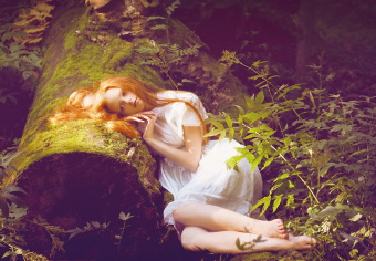 Кэролин Терджен: Книга Фей. Волшебный путеводитель по страницам фолиантов, глубинам тайных знаний