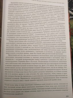 Константин Михайлов: Динозавры. Окаменелые яйца и загадки гнездовой жизни