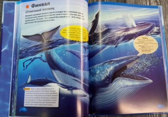 Кармен Родригес: Подводный мир. Большая детская энциклопедия