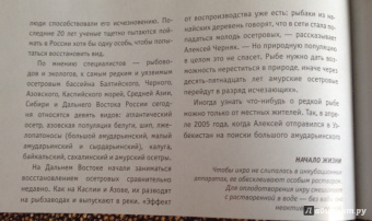 Дикие животные России