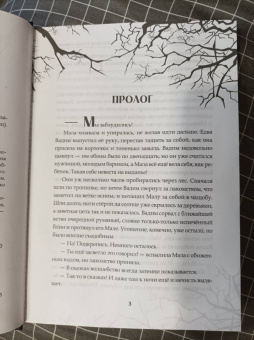 Анастасия Князь: Скиталец. Страшные сказки