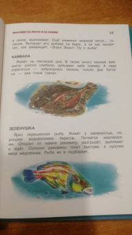 Святослав Сахарнов: В мире дельфина и осьминога