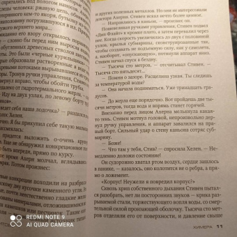 Тесс Герритсен: Химера