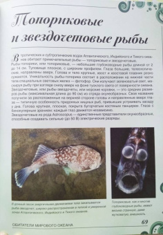 Вячеслав Ликсо: Большая книга о подводном мире. 1001 фотография