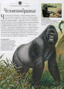 Самая красивая энциклопедия животных