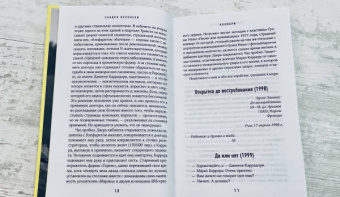 Сандро Веронези: Колибри