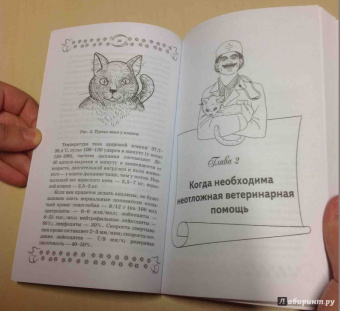 Л. Моисеенко: Скорая помощь для вашего кота