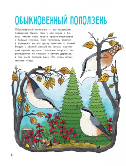 Эмма Янссон: Птицы