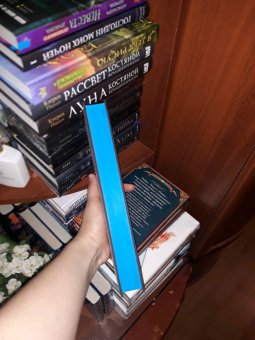 Эмили Тейлор: Отель "Манифик"