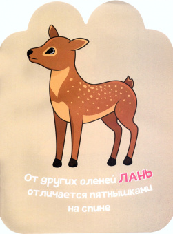 Попова, Хомич: Лесные жители